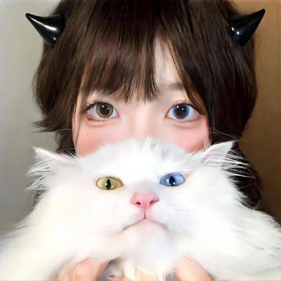 黑客军团第二季 在线观看